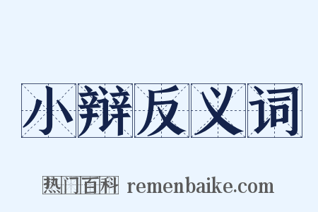 小辩反义词是什么意思的图片